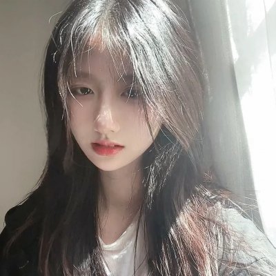 极地熊踪 封面